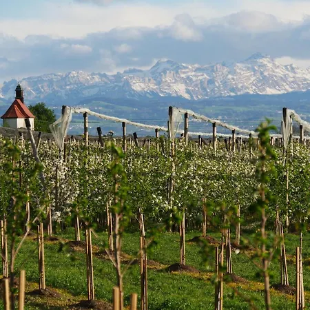 Hoehlerhof Friedrichshafen