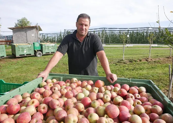 Apartman Hoehlerhof *